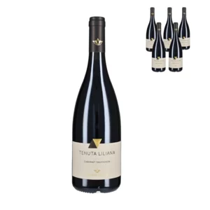 Cabernet Sauvignon Tenuta Liliana IGP 2021, 6 bottiglie da 75cl